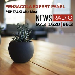 Artwork for Pensacola Expert Panel