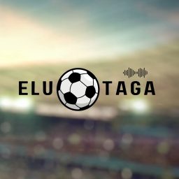 Artwork for Elu palli taga