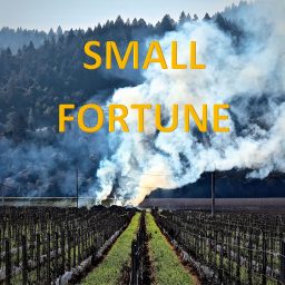 Artwork for Small Fortune Podcast