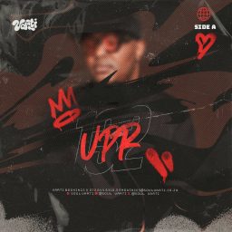 Artwork for UPR Vaults
