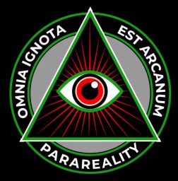 Artwork for ParaReality