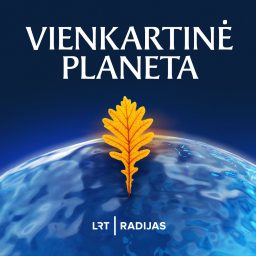 Artwork for Vienkartinė planeta