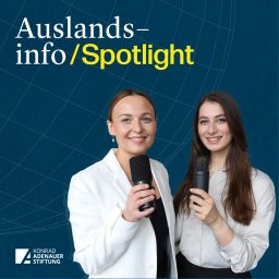 Artwork for Auslandsinfo
