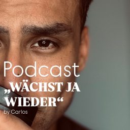 Artwork for Wächst Ja Wieder