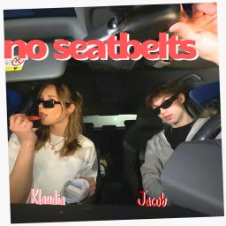 Artwork for no seatbelts