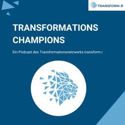 Artwork for Transformationschampions