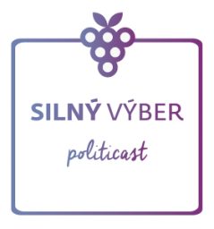 Artwork for Silný výber
