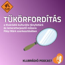 Artwork for Tükörfordítás