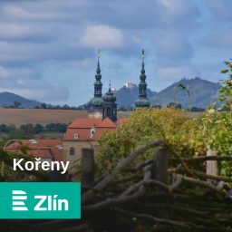 Artwork for Kořeny