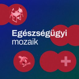 Artwork for Egészségügyi mozaik