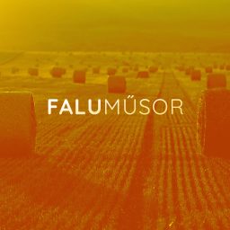 Artwork for Faluműsor