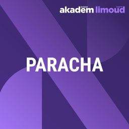 Artwork for Paracha de la semaine 5787
