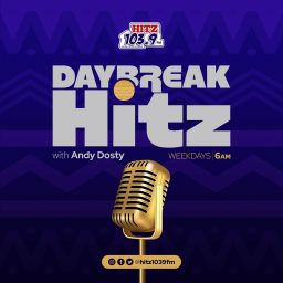 Artwork for Daybreak Hitz