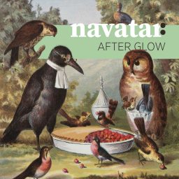 Artwork for afterglow sessions by navatar