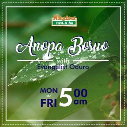 Artwork for Anopa Bosuo