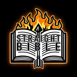 Artwork for Straight Bible