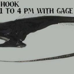 Artwork for Off The Hook With Gage