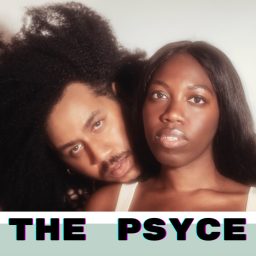 Artwork for The Psyce