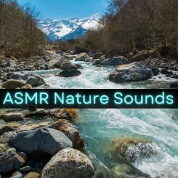 Artwork for ASMR Nature Sounds