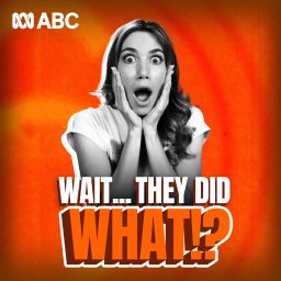 Artwork for Wait... They Did What!?