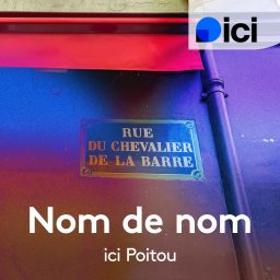 Artwork for Nom de nom dans le Poitou