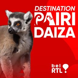 Artwork for Destination Pairi Daiza