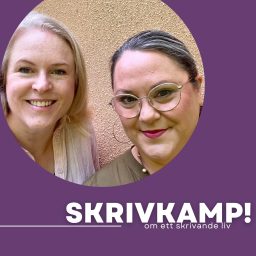 Artwork for Skrivkamp!