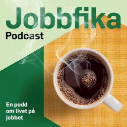 Artwork for Jobbfika