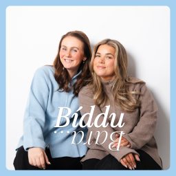 Artwork for Bíddu Bara