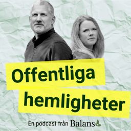 Artwork for Offentliga hemligheter