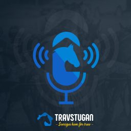 Artwork for Travstugan
