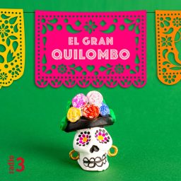 Artwork for El gran quilombo