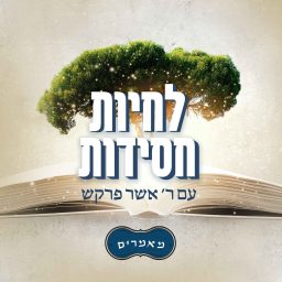 Artwork for לחיות חסידות - מאמרי חסידות