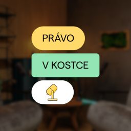 Artwork for Právo v kostce