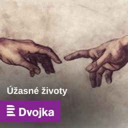 Artwork for Úžasné životy