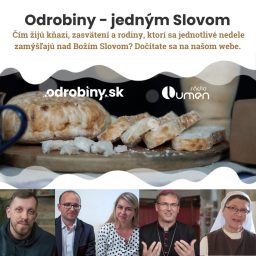 Artwork for Odrobiny - jedným Slovom