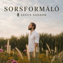 Artwork for Sorsformáló