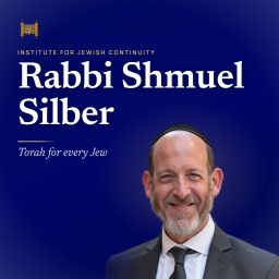 Artwork for Rabbi Shmuel Silber