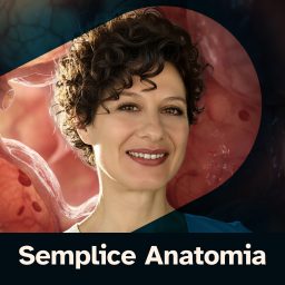 Artwork for Semplice Anatomia