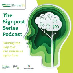 Artwork for The Signpost Series