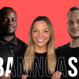 Artwork for The BAMNCast