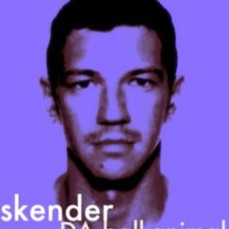 Artwork for skender