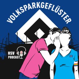 Artwork for Volksparkgeflüster