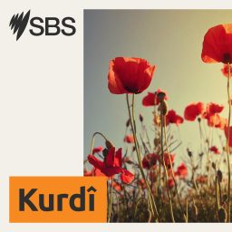 Artwork for SBS Kurdish - SBS Kurdî