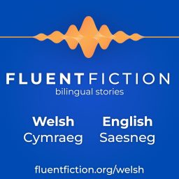 Artwork for FluentFiction - Welsh