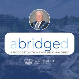 Artwork for Abridged