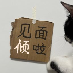 Artwork for 见面倾啦