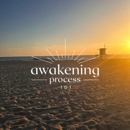 Artwork for Awakening Process 101