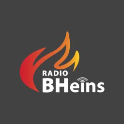 Artwork for BHeins Podcasts