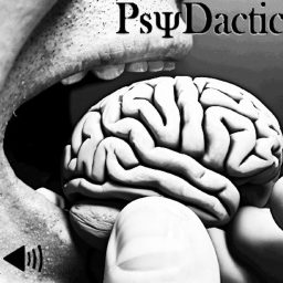 Artwork for PsyDactic